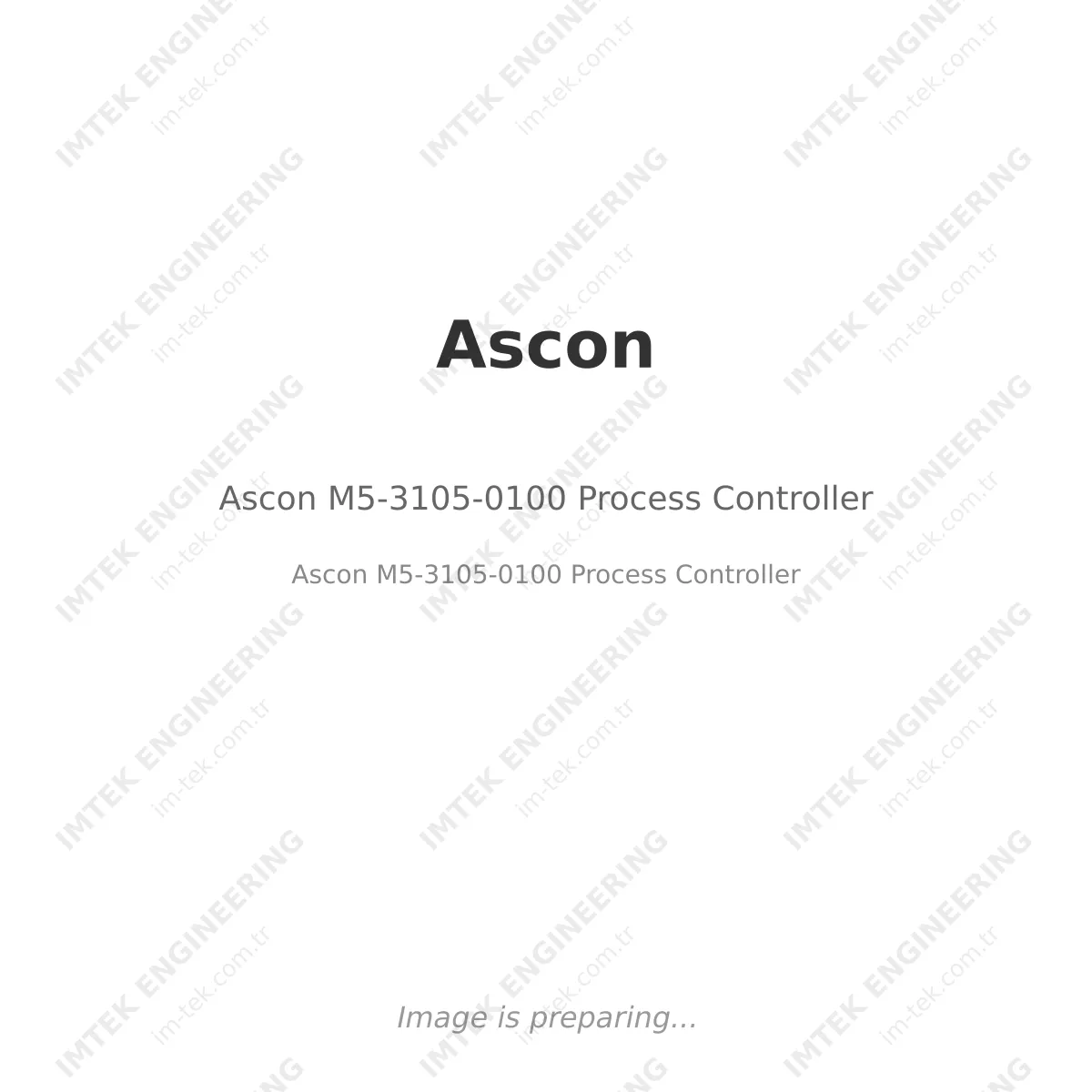 Ascon M5-3105-0100 Process Controller