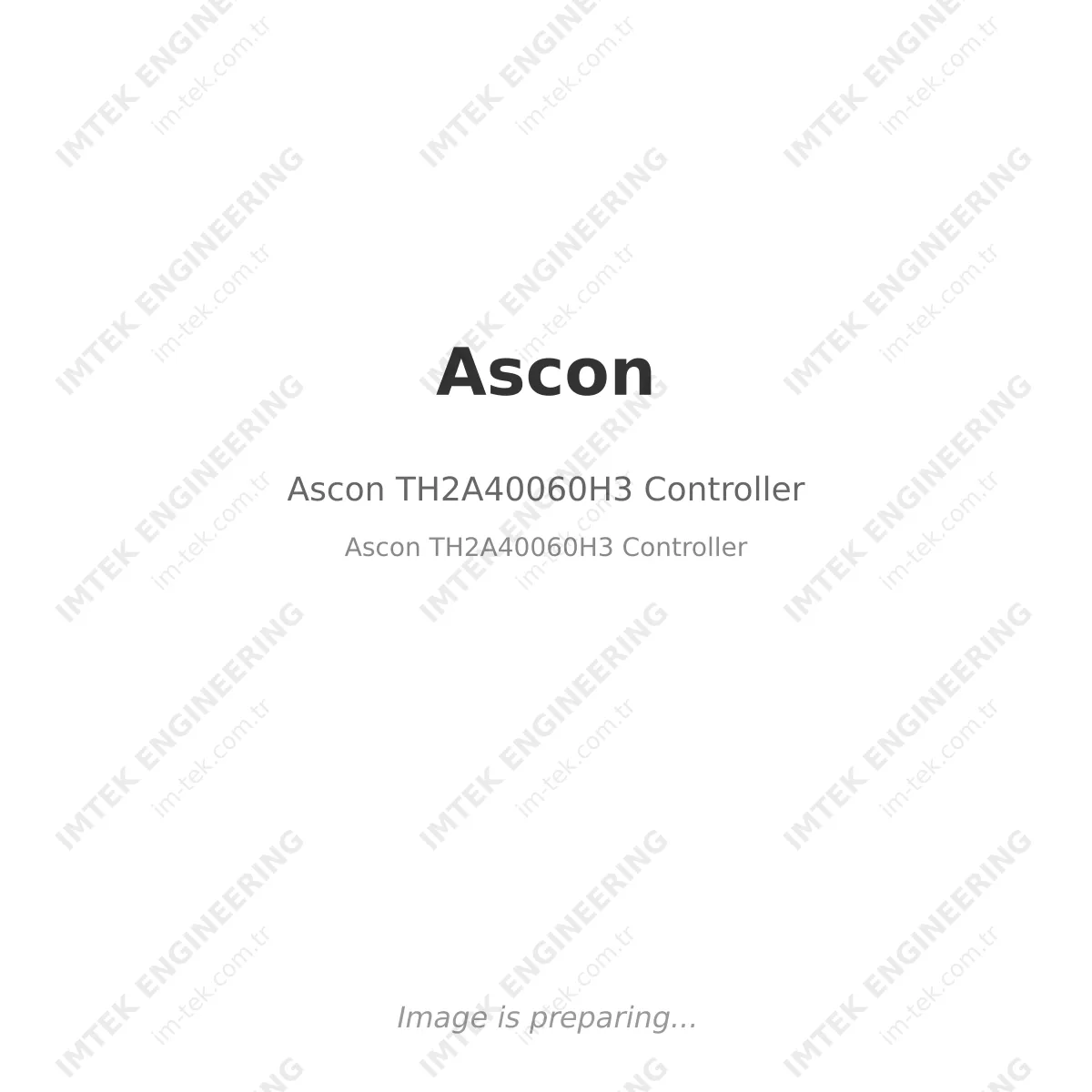 Ascon TH2A40060H3 Controller