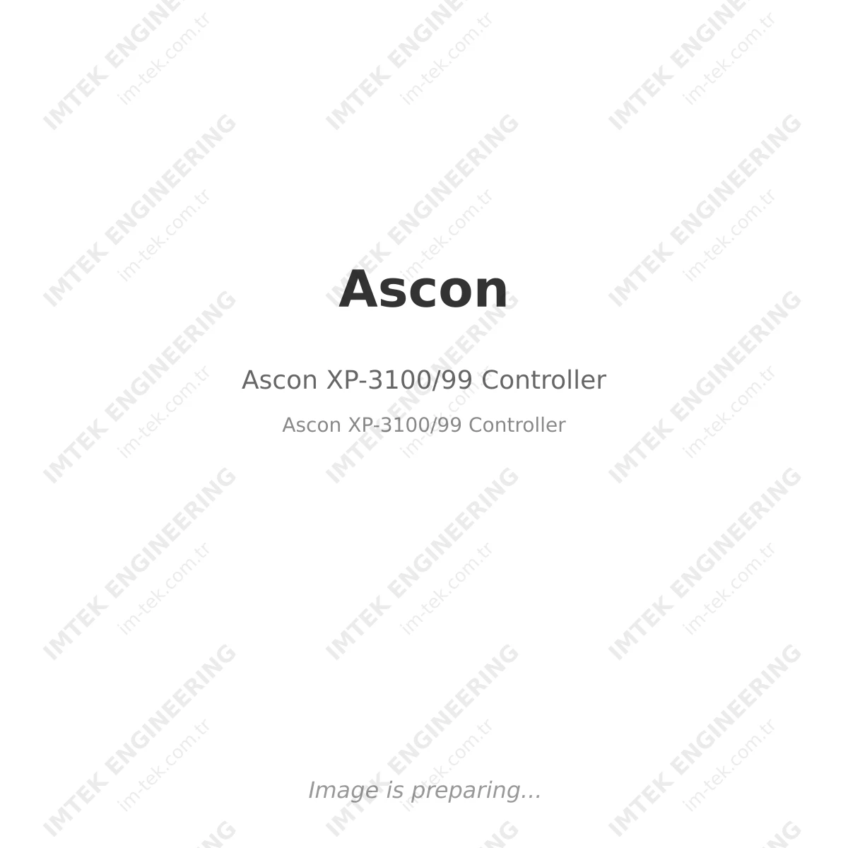 Ascon XP-3100/99 Controller
