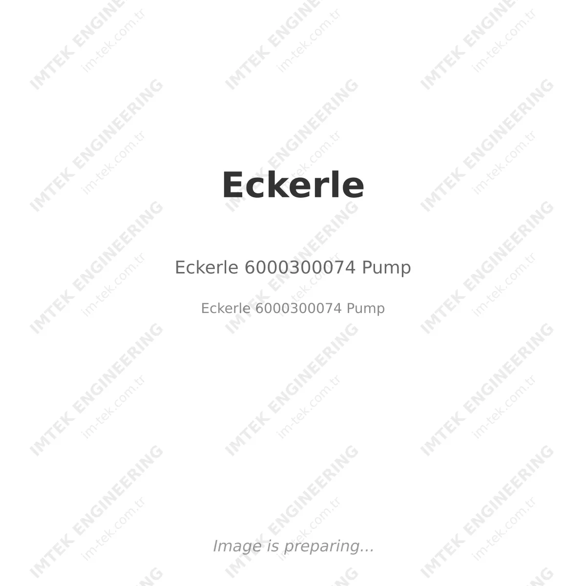 Eckerle 6000300074 Pump