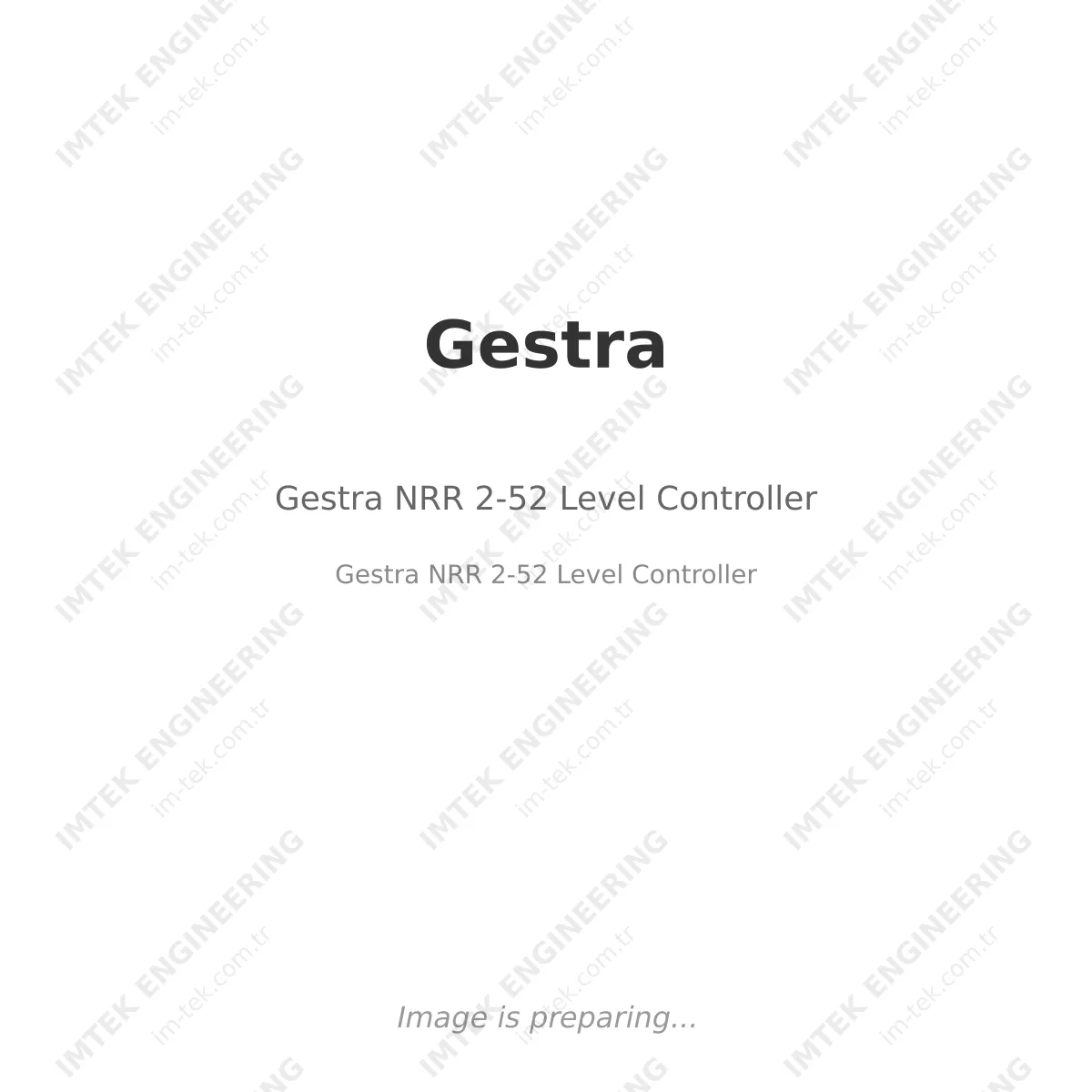 Gestra NRR 2-52 Level Controller