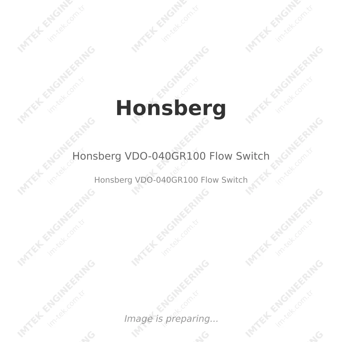 Honsberg VDO-040GR100 Flow Switch